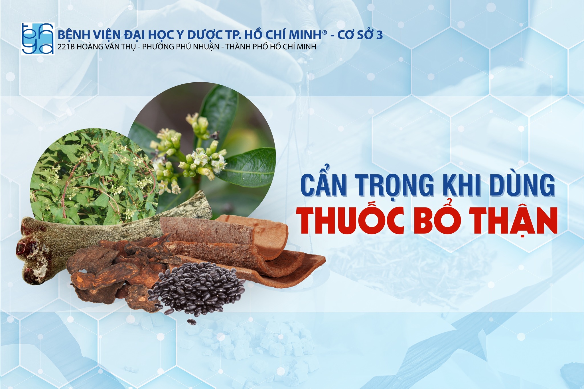 Cẩn trọng khi sử dụng thuốc bổ thận