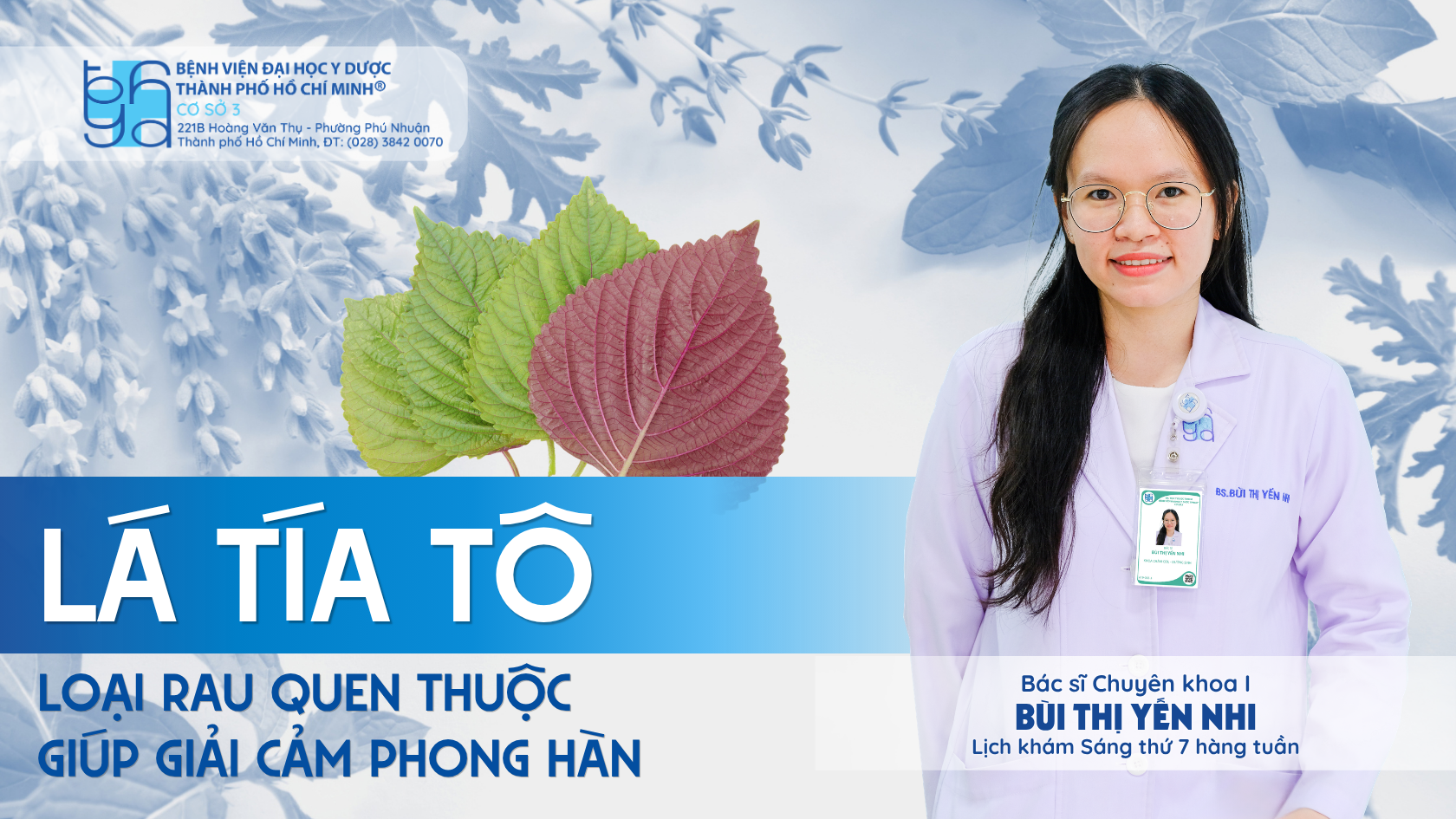 Giải cảm phong hàn với lá tía tô